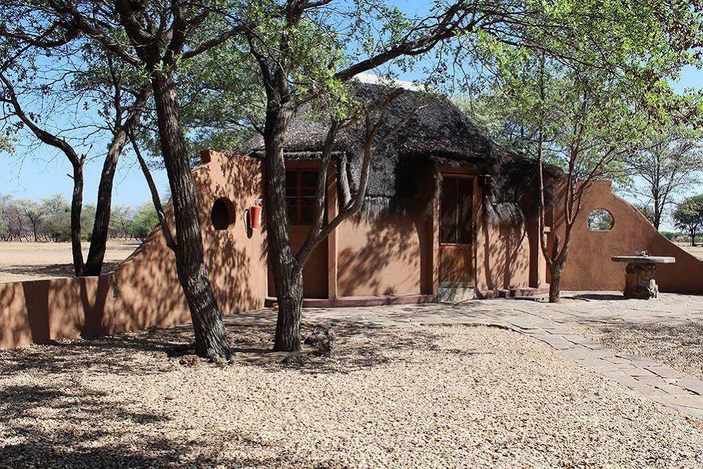 Harnas Wildlife Foundation Gobabis Ngoại thất bức ảnh