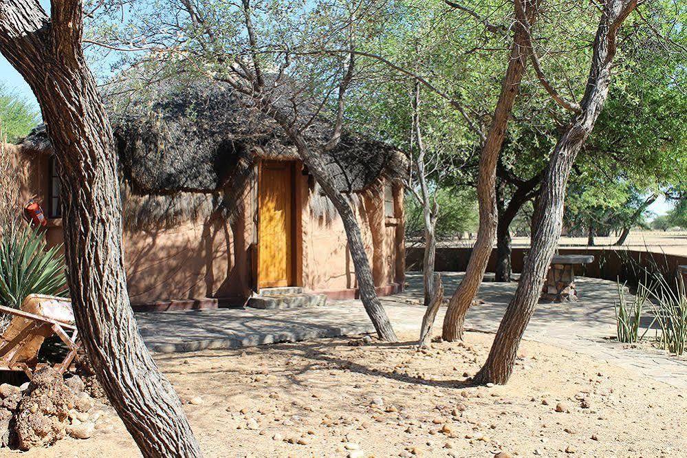 Harnas Wildlife Foundation Gobabis Ngoại thất bức ảnh