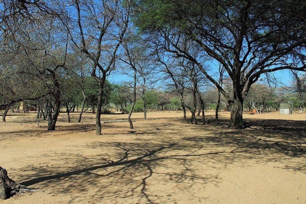 Harnas Wildlife Foundation Gobabis Ngoại thất bức ảnh