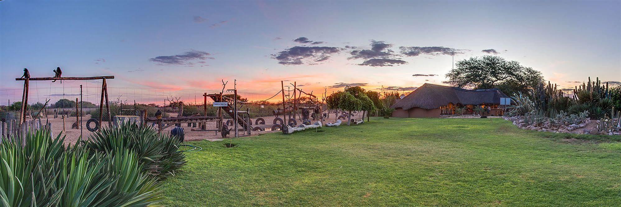 Harnas Wildlife Foundation Gobabis Ngoại thất bức ảnh