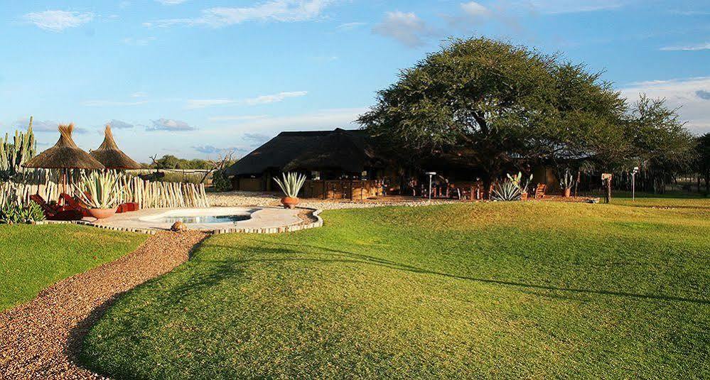Harnas Wildlife Foundation Gobabis Ngoại thất bức ảnh